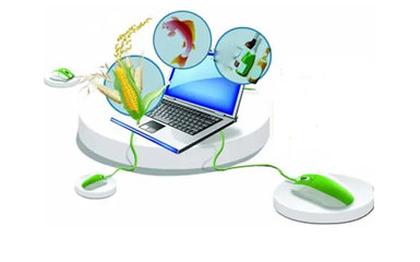 農(nóng)業(yè)電商系統(tǒng)功能清單及技術(shù)咨詢解析