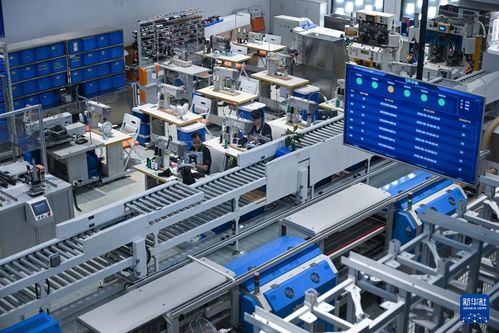 活力中國調研行丨福建莆田 從“制鞋基地”到“智造高地”的產業新活力